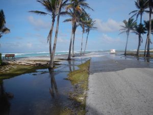Climate change could make thousands of tropical islands ‘uninhabitable’ in coming decades, new study says