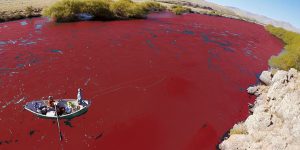 Prophecy: River In Argentina Turns To Blood Red Overnight!