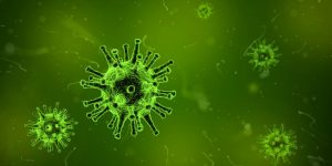 Ancient VIRUS Attacks In Australia!