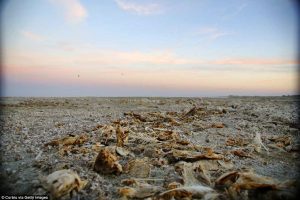 A ghost town in the making: How the Salton Sea – California’s ‘miracle in the desert’ – went from bustling resort to a stinking ‘public health disaster’ where the remaining residents choke on toxic dust