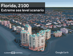 Rising seas: ‘Florida is about to be wiped off the map’