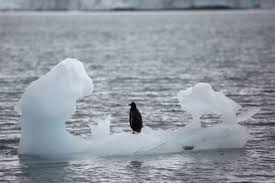 Antarctic thaw quickens faster than expected, trillions of tonnes of ice raise sea levels