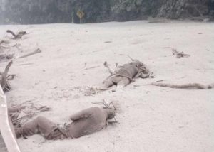 “No Survivors”: Guatemala Volcano Buries Entire Village, 75 Dead After Violent Eruption Spews Rivers Of Hot Lava