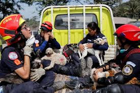 Rescuers tirelessly search for 200 missing near Guatemala volcano; 85 dead