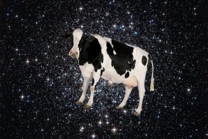 ‘The cow’: Astronomers puzzled by incredibly bright and fast mystery burst from space