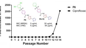 New compound F6, shown to be as effective as FDA-approved antibiotics against life-threatening infections