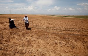 How Iraq’s agricultural heartland is dying of thirst