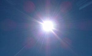 NETHERLANDS DROUGHT RECORD SOON TO BE BROKEN