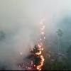 Sweden wildfires: Worst drought in 74 years