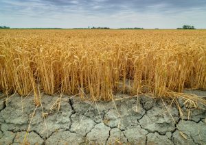 Investors increasingly engaged on world water issues