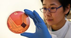 Drug-resistant superbug, Staphylococcus epidermidis, spreading in hospitals worldwide, study warns