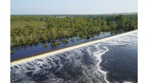 BREAKING: Duke Energy says dam has breached at NC Duke Energy plant- coal ash may be flowing into Cape Fear River