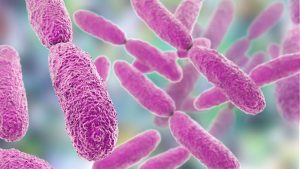 Scientists engineer a powerful new weapon against antibiotic-resistant bacteria