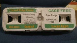 Eggs sold in Alabama, Georgia, Tennessee recalled over salmonella concerns