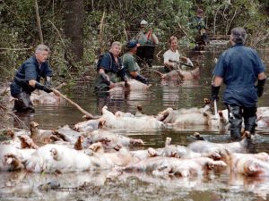 Florence gone but its flooding a crisis in parts of North Carolina, to include collapse of coal ash landfill — live updates
