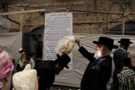 Ahead of Yom Kippur, ultra-Orthodox Jews cast out sins with chickens and water