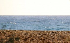 Impacts of Sea Level Rise May Be Greater than Estimated; Hawaii Especially at Risk