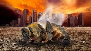 Insect population COLLAPSE a death warning for all humanity