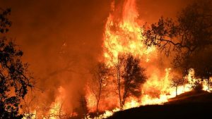 Sunday brings respite as Camp Fire slows advance, crews focus on lives and structures, 25% contained; 23 killed