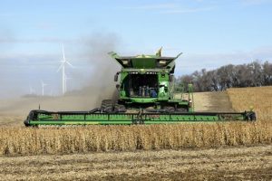 Harvesting in a trade war: U.S. crops rot as storage costs soar