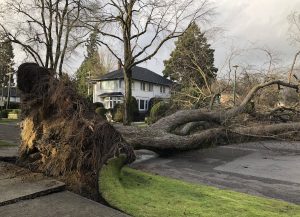 British Columbia windstorm: Thousands without power ‘for days,’ 1 dead