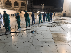 Mecca’s Grand Mosque plagued by swarm of locusts