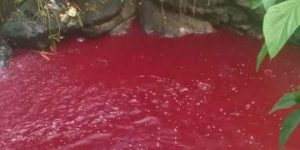Recent wave of 4 Biblical plagues has many wondering if the remaining 6 are about to strike since, according to Jewish tradition, all of the plagues that struck Egypt will reappear before the final redemption