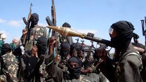 US says airstrike kills 24 al-Shabab extremists in Somalia