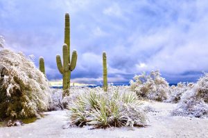 Rare Snowfall in Arizona Transforms Rocky Desert into Surreal Winter Wonderland