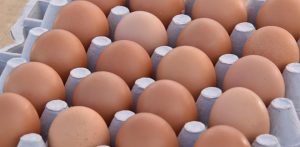 Scientists are now genetically modifying chickens in a way that makes them lay drugs used for cancer and arthritis in their eggs