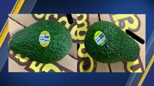 Henry Avocado & Bravocado recall: Avocados sold in California, Arizona, Florida, New Hampshire, North Carolina & Wisconsin recalled for possible listeria