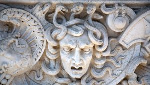Beware the Medusavirus A newly discovered giant virus turns its victims to “stone.”