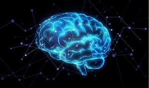 SCHIZOPHRENIA BREAKTHROUGH: Scientists use artificial intelligence to identify 413 genes