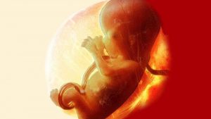 ‘We Will All Answer to the Good Lord One Day’: Mississippi Gov. Signs Heartbeat Bill to Protect Unborn Babies