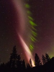SCIENTISTS DISCOVER WHAT POWERS THE CELESTIAL PHENOMENON STEVE