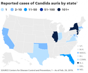 ’Serious global health threat’: At least 587 cases of deadly fungus reported, CDC say