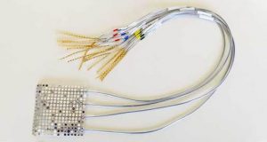 A neural implant can translate brain activity into sentences