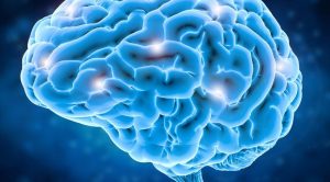 Scientists Use AI To Turn Brain Signals Into Speech
