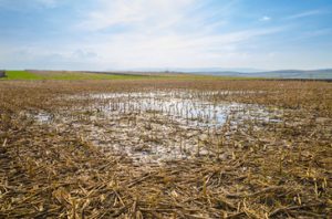 A FOOD CRISIS IS HERE: TROUBLE FOR FARMERS IN THE CORN BELT