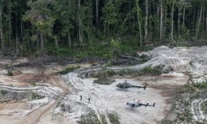 Deforestation of Brazilian Amazon Surges to Record High, Since New President