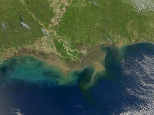 Near-record oxygen-depleted ‘dead zone’ predicted in the Gulf of Mexico this summer