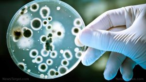 Ohio hospital spreading deadly infectious disease through its water systems