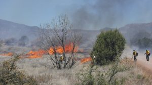 1 Billion Acres At Risk For Catastrophic Wildfires, U.S. Forest Service Warns