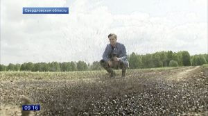 A Biblical plague? Mysterious fly invasion stuns officials – forces Russian village into lockdown