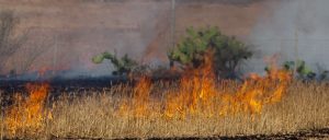 Revealed: Israel Is Dangerously Unprepared for Global Food Shortages