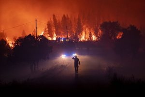 Firefighters battle wildfire in Portugal due to scorching heat, 32 people hurt