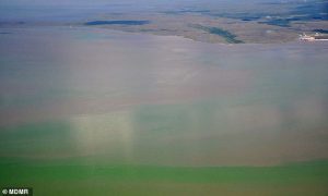 ALL of Mississippi’s Gulf Coast beaches are closed over spread of toxic algae which causes rashes, diarrhea and vomiting