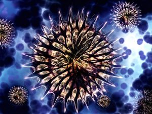 A Bacterial Invasion? People All Over The East Coast Are Suddenly Being Attacked By Flesh-Eating Disease In 2019