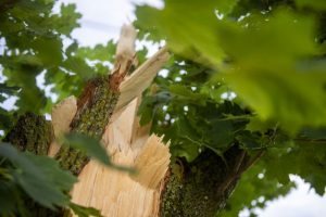 More than 230,000 in Michigan still without power after weekend storms