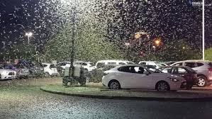 Epic Las Vegas Grasshopper Invasion Caught On Weather Radar